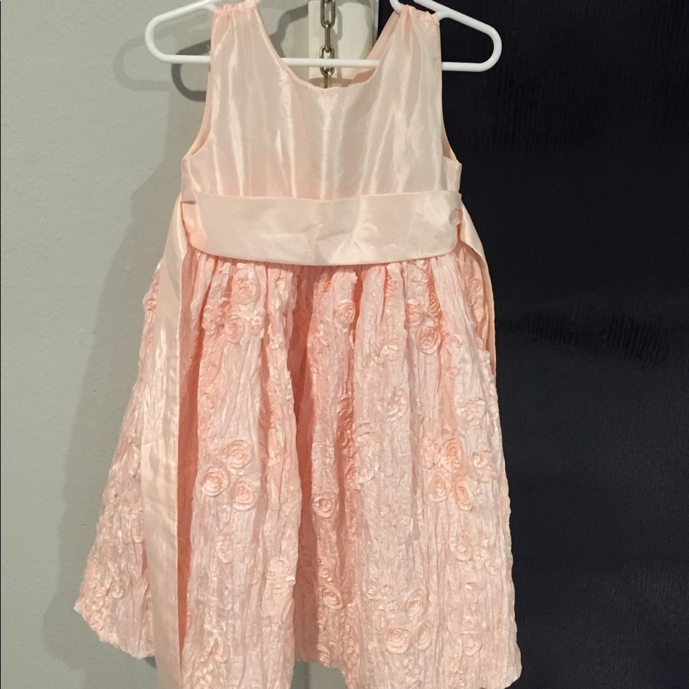 Cinderella Pink rose dress 3/3t